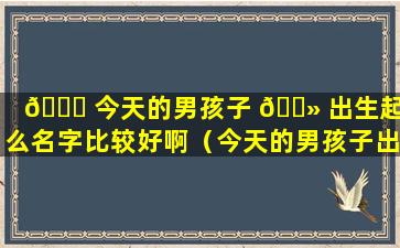 🐘 今天的男孩子 🌻 出生起什么名字比较好啊（今天的男孩子出生起什么名字比较好啊女孩）